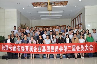 民建云南省委部分直属基层组织换届新建工作圆满完成