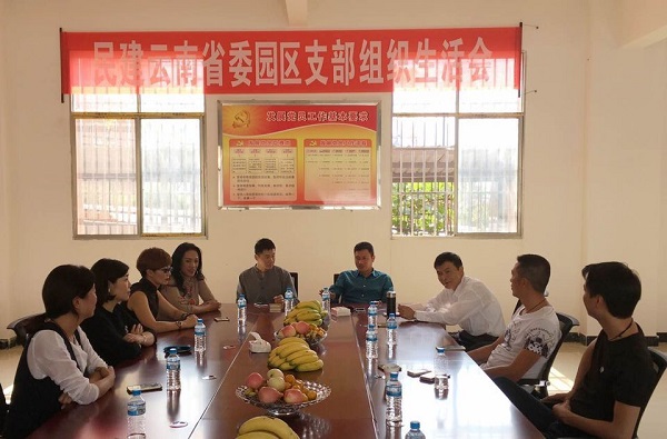 园区支部认真学习传达民建云南省委八届十七次常委会议精神